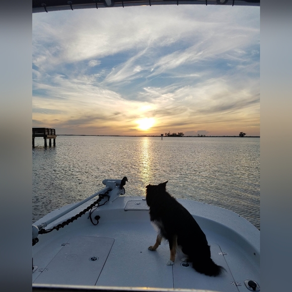 LIVE Thursday 8am est Rolling Into The Holidays Share Show - Picture 7 of 8